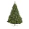 7ft. Pre-Lit West Virginia Mixed Pine Artificial Christmas Tree, Clear LED Lights